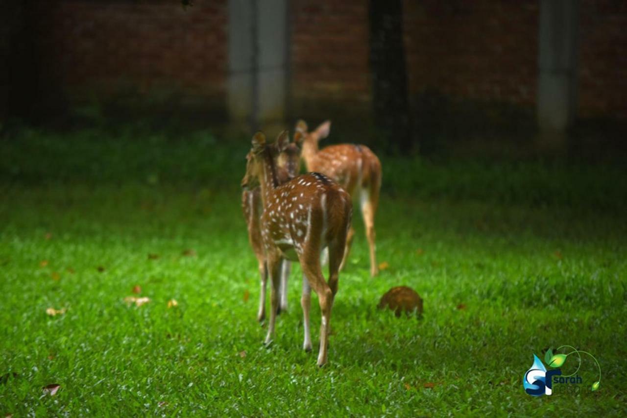 Sarah Resort Gazipur Zewnętrze zdjęcie